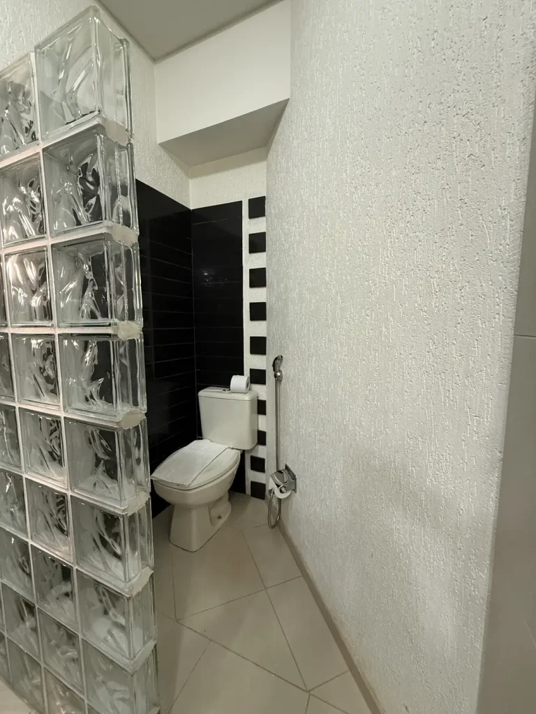 Vaso sanitário ao lado da parede de blocos de vidro