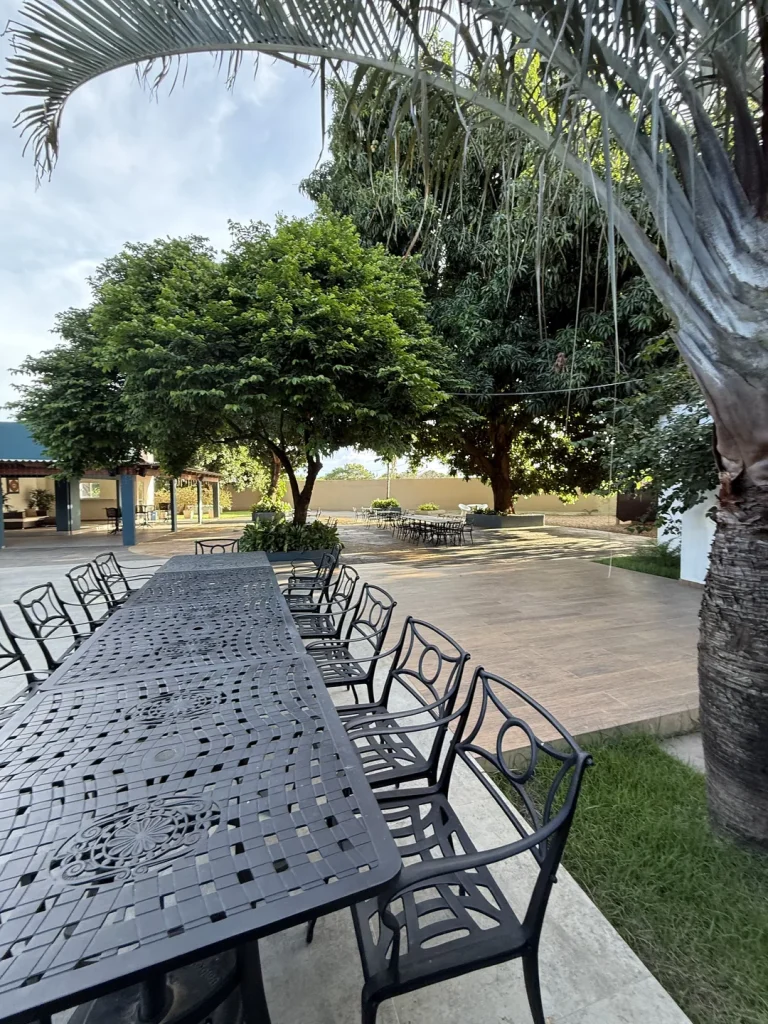 Mesa longa de ferro com cadeiras sob uma palmeira, com mesas e árvores ao fundo