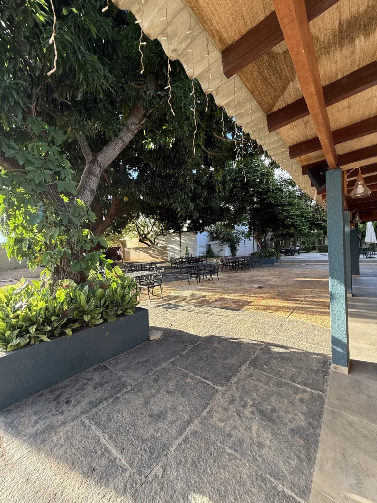 Área coberta com teto de madeira ao lado de uma árvore, com mesas ao fundo